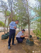  国际--人平易近网